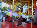 Outside Row and 2nd Row Dare Horses and 3rd Row Roebuck Horse